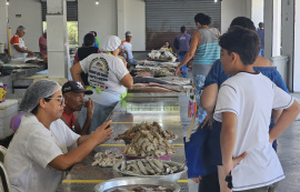 Centro Pesqueiro é opção de compras de peixes e frutos do mar