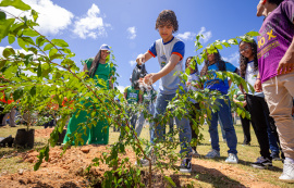 Arborizar é Massa: espaço público no Trapiche recebe plantio de árvores frutíferas