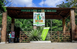 Parque Municipal recebe mais de 1,8 mil visitantes após reabertura