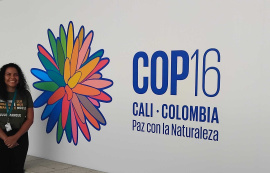 Maceió Investe e Nosso Mangue participam da COP 16 na Colômbia