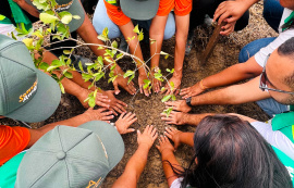 Dia da Árvore: Alurb realiza plantio e promove ações de conscientização ambiental