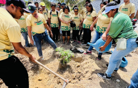 Projeto de arborização da Prefeitura de Maceió inicia 3ª etapa nesta quinta (13), no Vergel