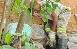 Semurb autua condomínio por ligação clandestina de esgoto no bairro São Jorge