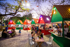 Estandes foram montados no Parque Centenário para artesãos