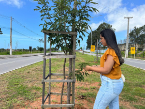 Projeto de arborização conta com o plantio de árvores nativas e frutíferas. Foto: Ascom Alurb