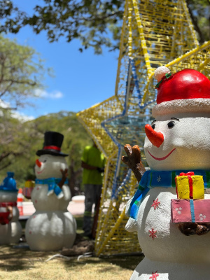 Ornamentos de chão estão sendo instalados pela Ilumina Maceió. Foto: Vinícius Rocha