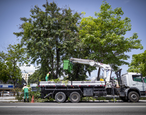 Autarquia de Limpeza Urbana inicia ação preventiva de poda e supressão de árvores