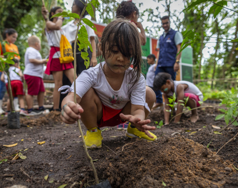 Dia da Árvore é comemorado com plantio de mudas no Parque Municipal