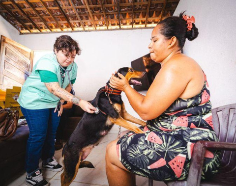 Prefeitura leva serviços veterinários a famílias em situação de vulnerabilidade