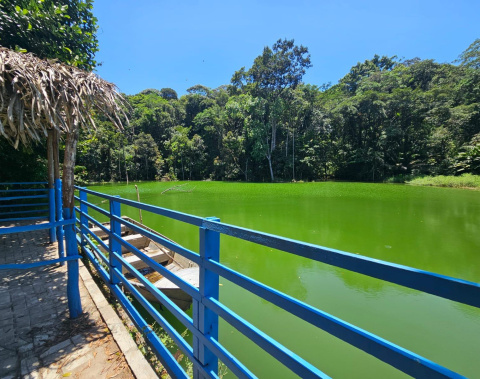 Conferência Intermunicipal de Meio Ambiente acontece nesta segunda