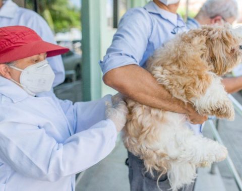 Prefeitura de Maceió criou secretaria para cuidar do Bem-Estar Animal