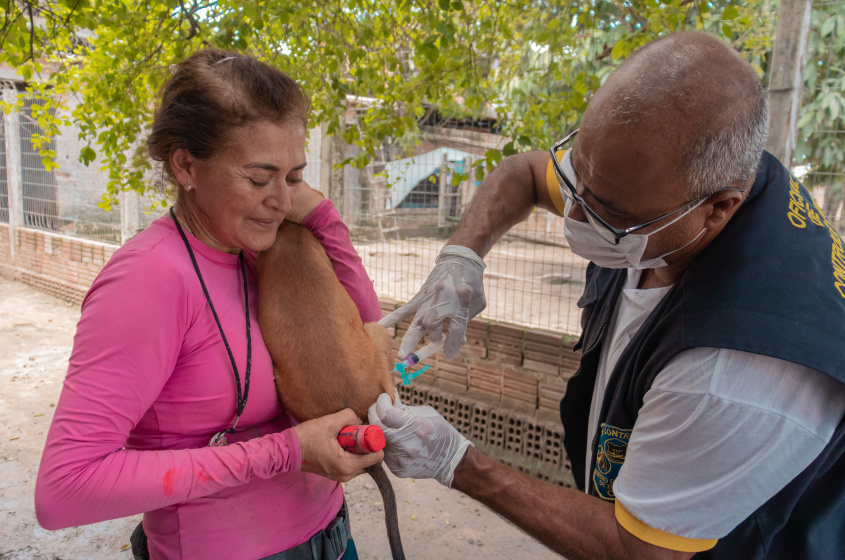 Vacinação em dogs Village 2. Foto: Victor Vercant/ Secom Maceió