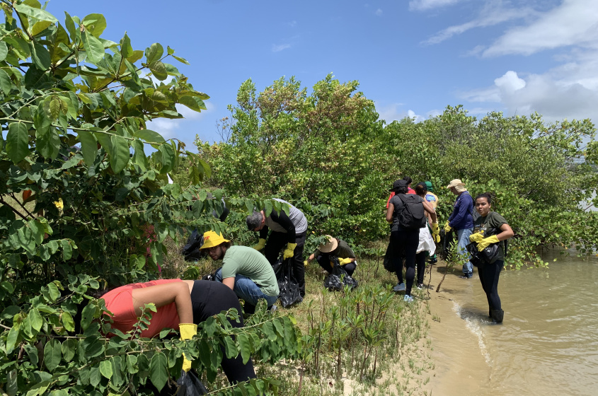 Além da limpeza, voluntários realizaram o plantio de mangue. Foto: Ascom Alurb