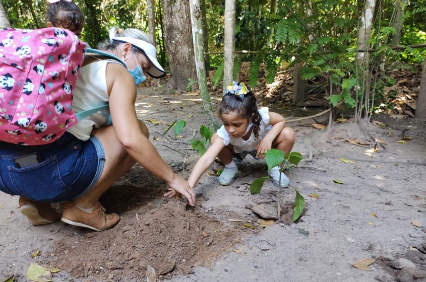 Pais e filhos plantaram mudas de árvores nativas. Foto: Ascom Sudes