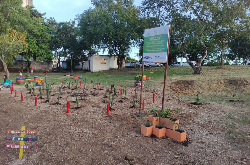 Com o plantio, o local se tornou mais sustentável. Foto: Ascom Sudes