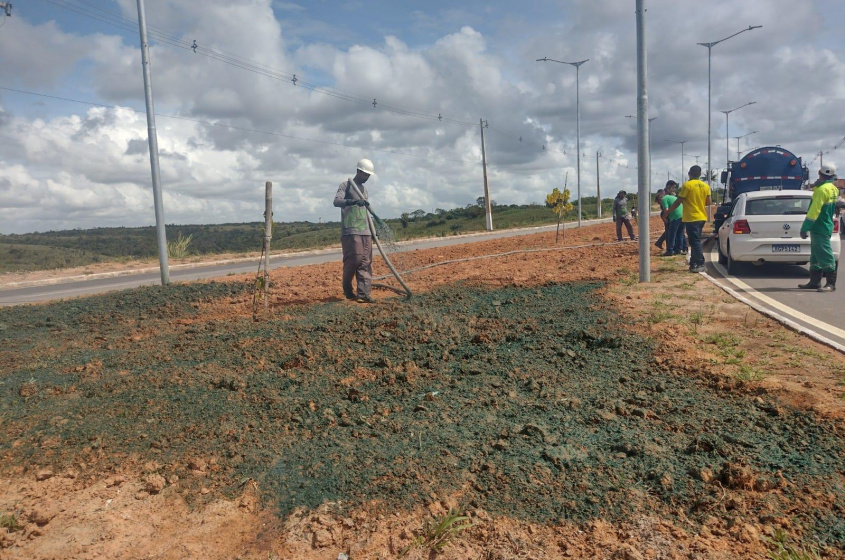 Aplicação da hidrossemeadura sendo realizada. Foto: Ascom Sudes