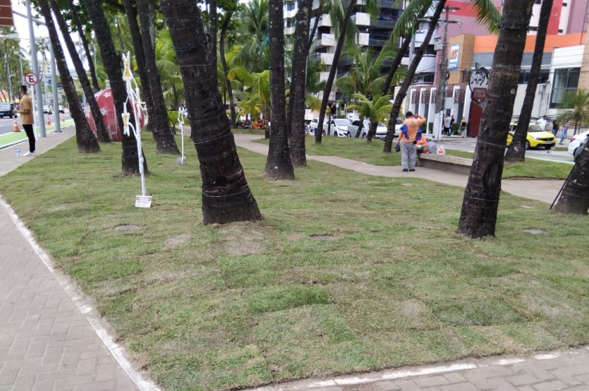 As placas de grama começaram a ser plantadas na quinta-feira (19). Foto: Ascom/Alurb