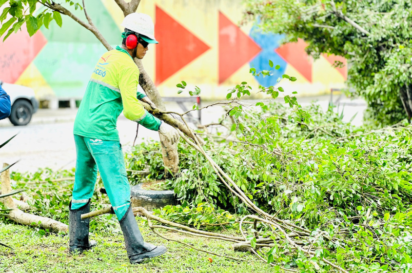 Para retirar as árvores tombadas, os agente precisam cortar os galhos e fazer a remoção em partes.  Foto: Crystália Tavares/Ascom Alurb