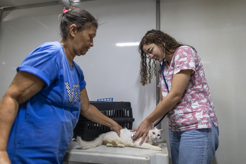 Dona Lucineia e sua gata durante avaliação antes do procedimento de castração. Foto: Alisson Frazão/ Secom Maceió