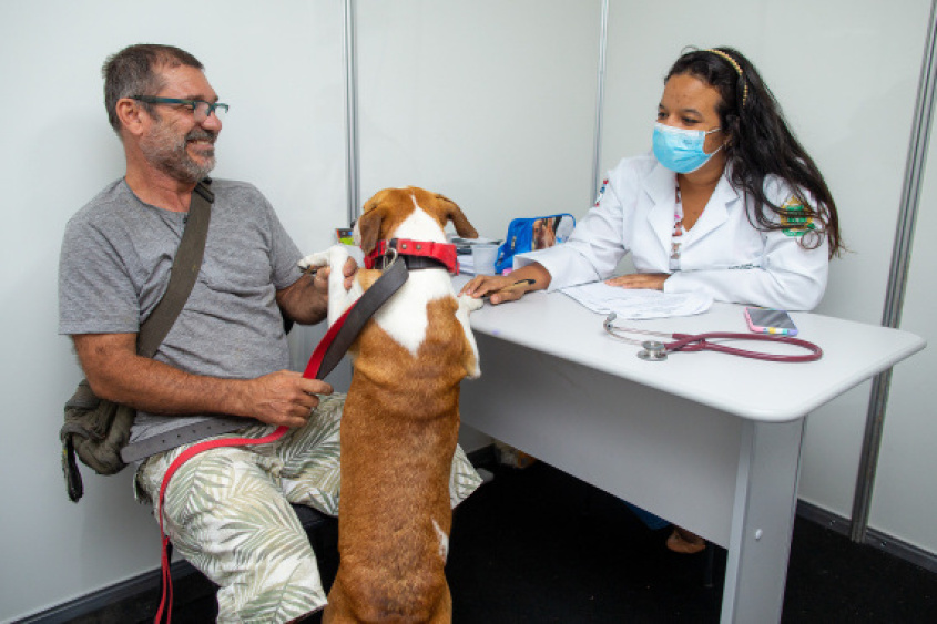 Saúde animal integra atendimento do programa. Foto: Alisson Frazão/ Secom Maceió