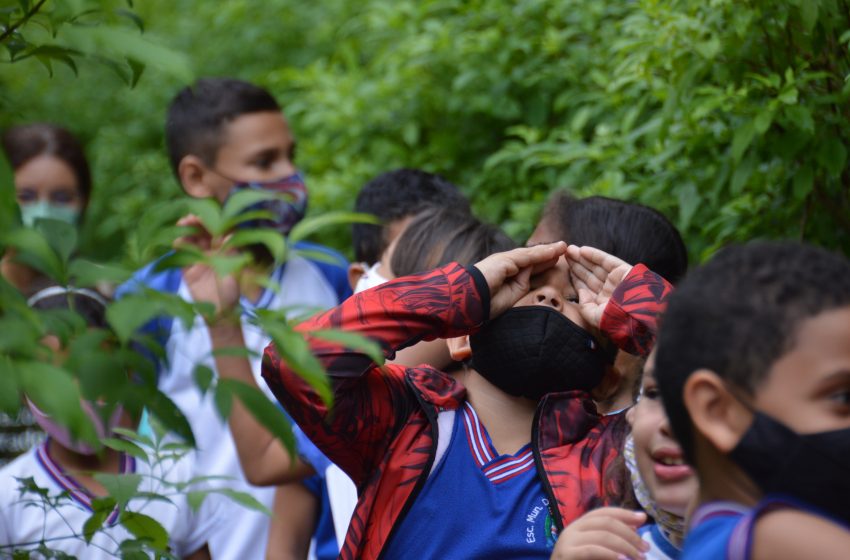 Estudantes da Escola Municipal Nise da Silveira participam de atividades ambientais no Parque do Horto