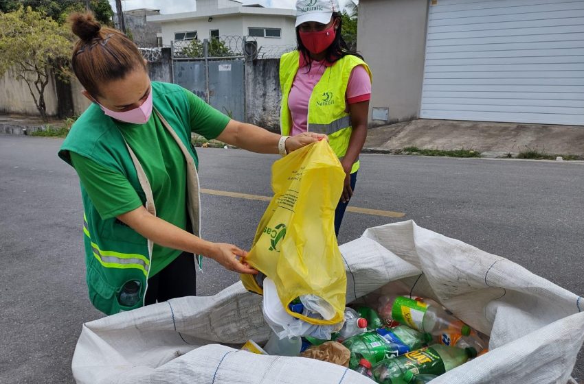 Dia da Reciclagem: cooperativas da capital recolhem mais de 120 toneladas de recicláveis por mês