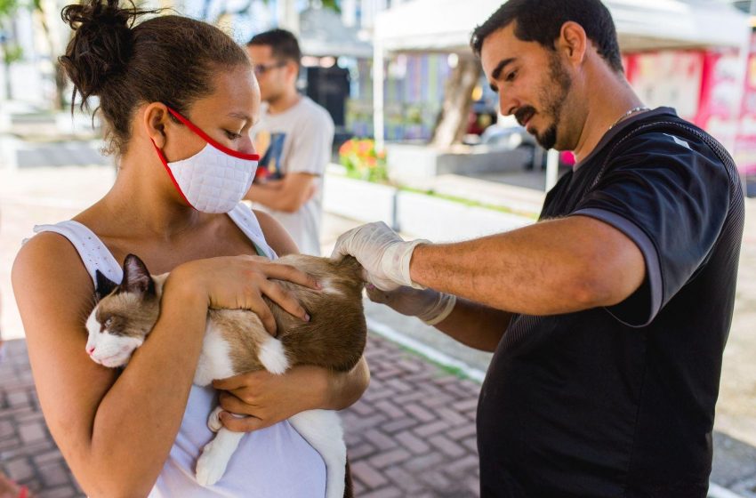 Prefeitura leva vacinação antirrábica neste domingo à Rua Aberta, na Ponta Verde
