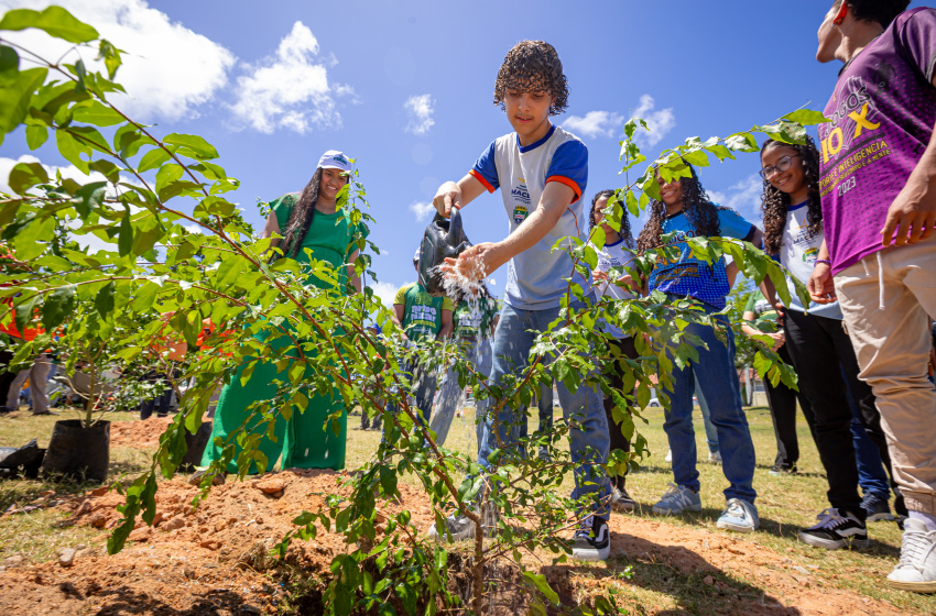 Arborizar é Massa: espaço público no Trapiche recebe plantio de árvores frutíferas