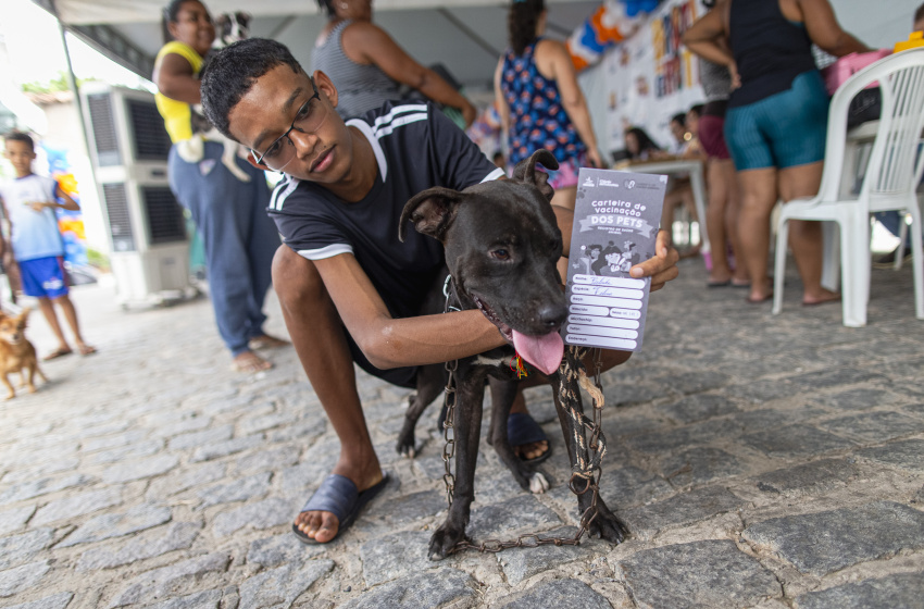 Atendimentos veterinários são destaque nas edições do Brota na Grota