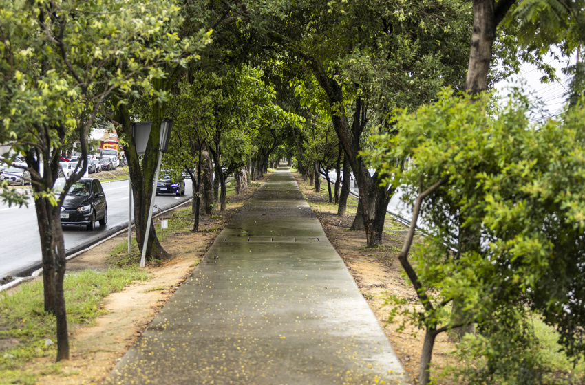 Maceió avança com obras de ciclovia na Durval de Góes Monteiro