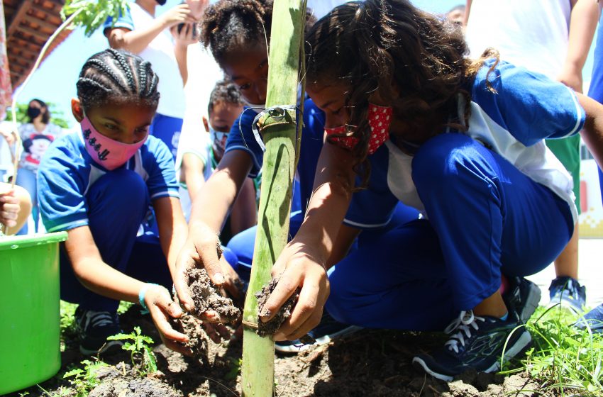 Educação realiza ação de arborização e sustentabilidade na Escola Maria José Carrascosa
