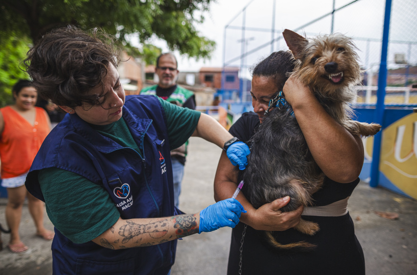 Força-tarefa da Prefeitura de Maceió atua na proteção de pessoas e animais em áreas de risco
