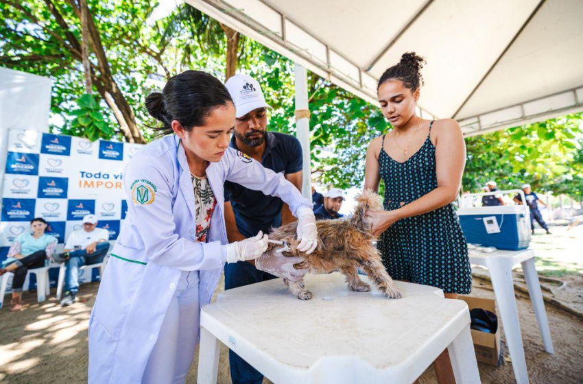 Em Maceió, mais de três mil animais foram vacinados contra a raiva neste fim de semana; confira próximos locais