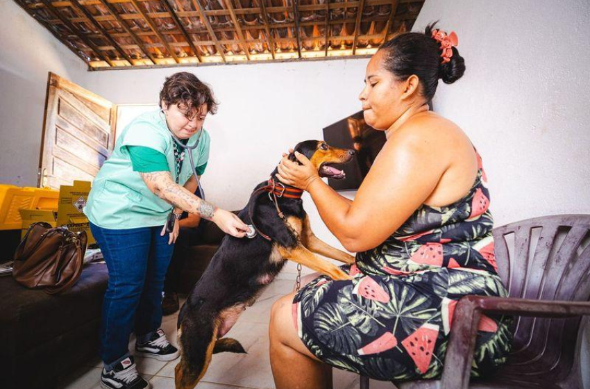 Prefeitura leva serviços veterinários a famílias em situação de vulnerabilidade