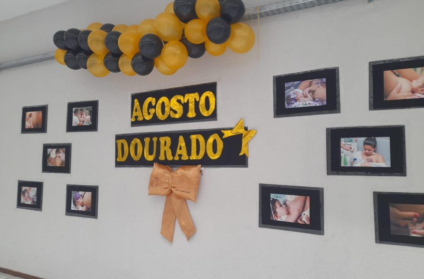Exposição e sensibilização abrem Agosto Dourado na Saúde em Maceió