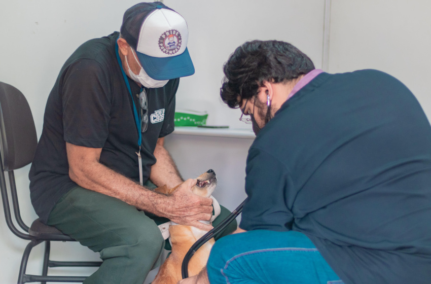 Fim de semana terá serviços veterinários da Saúde na Colina e no Osman Loureiro