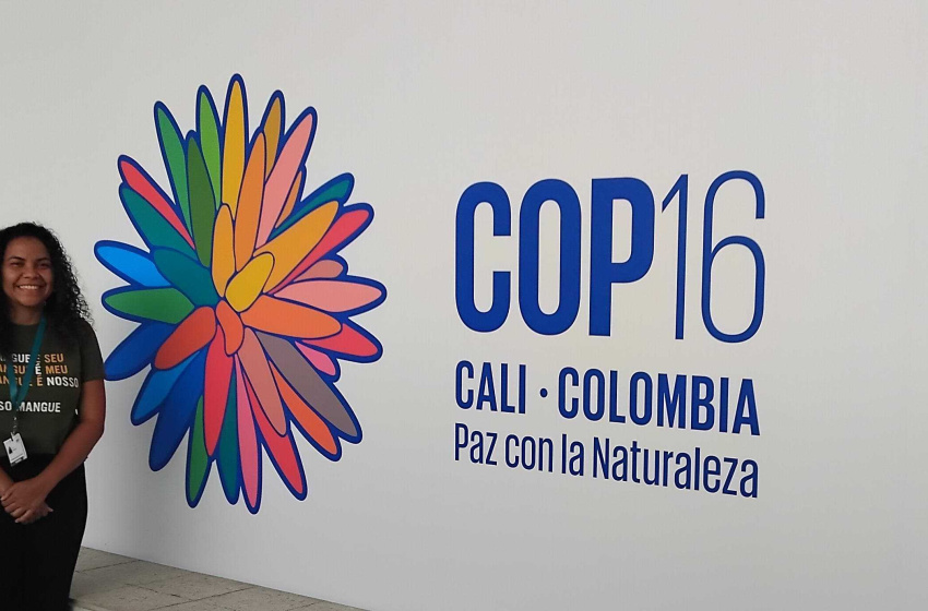 Maceió Investe e Nosso Mangue participam da COP 16 na Colômbia