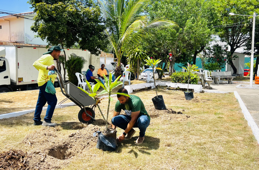 Espaço público no Antares recebe plantio de 50 árvores