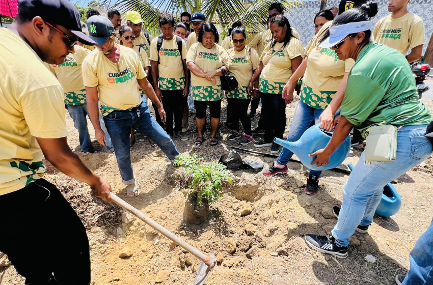 Projeto de arborização da Prefeitura de Maceió inicia 3ª etapa nesta quinta (13), no Vergel