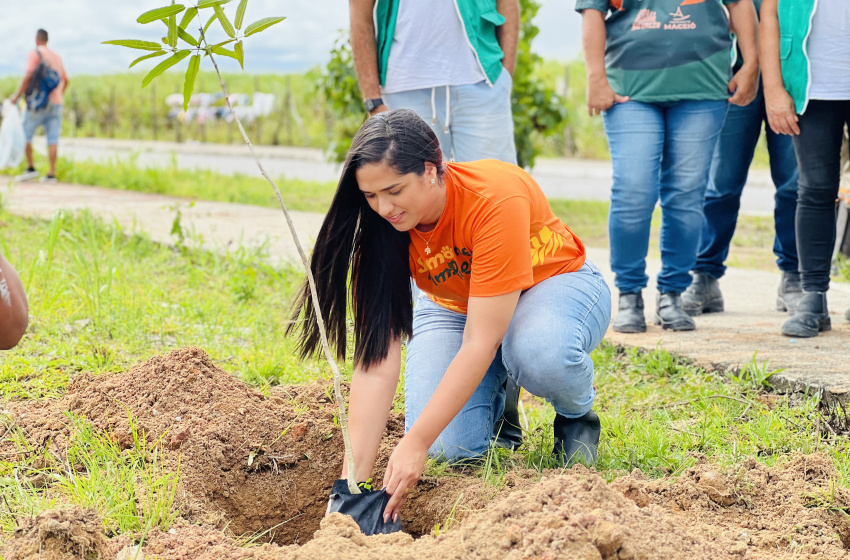 Arborizar é Massa: Alurb avança com primeira etapa do projeto em Maceió