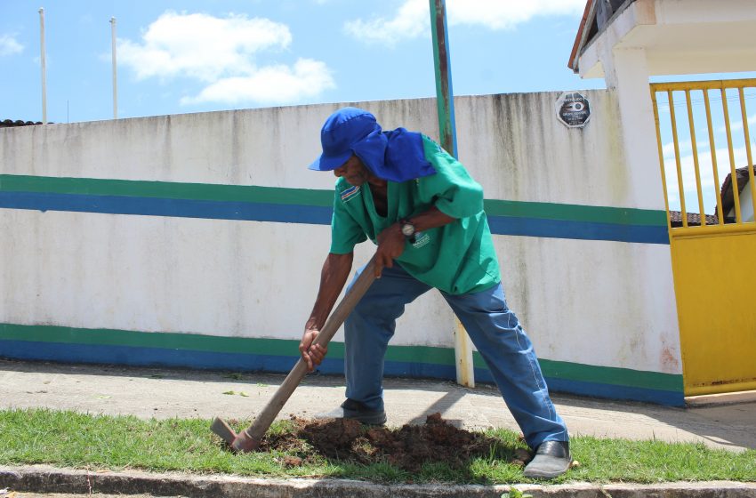 Educação e Desenvolvimento Sustentável realizam plantações de Ipê em fachada de escolas