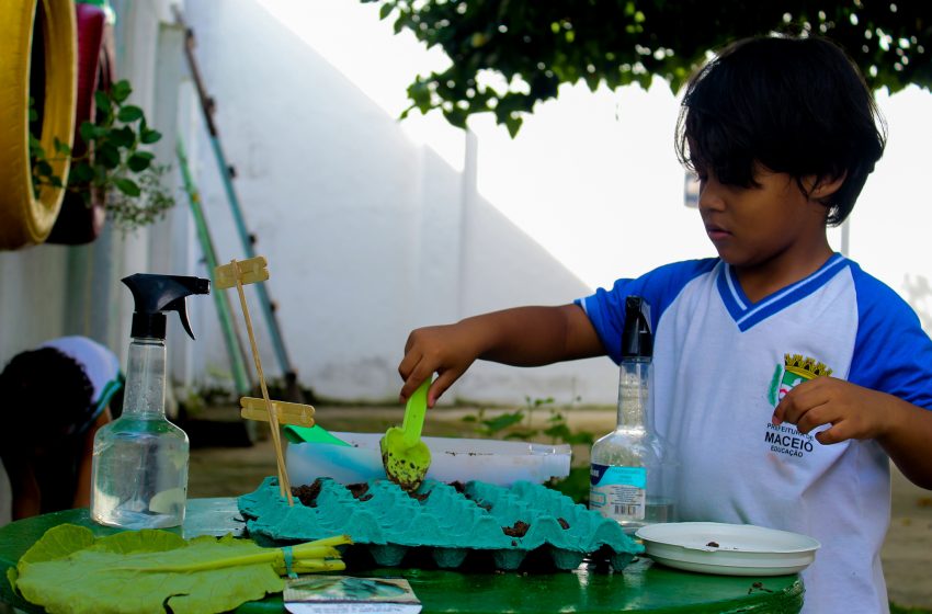 Criação de horta em creche municipal estimula curiosidade das crianças