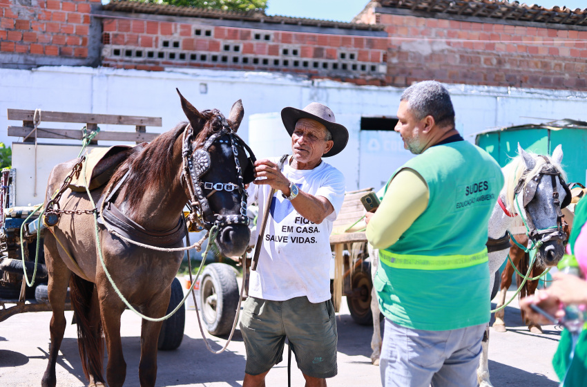 Prefeitura de Maceió beneficia carroceiros com ações socioambientais e de saúde animal