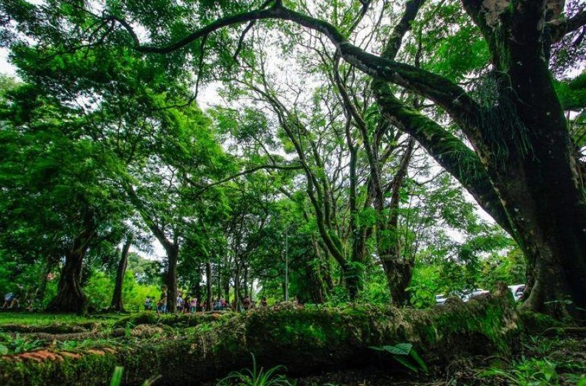 “Domingo com a Guarda” tem início neste fim de semana no Parque do Horto