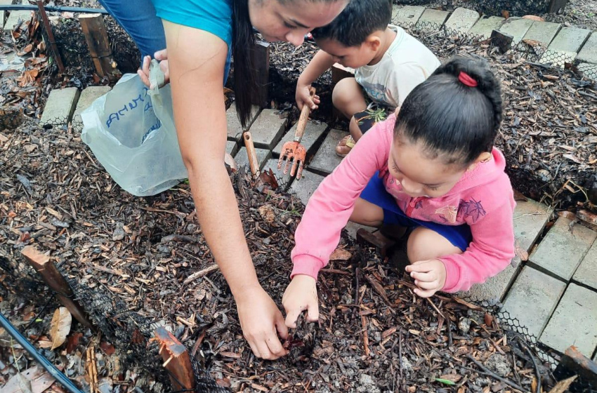 Creche Mestra Virgínia realiza projeto de educação ambiental com crianças