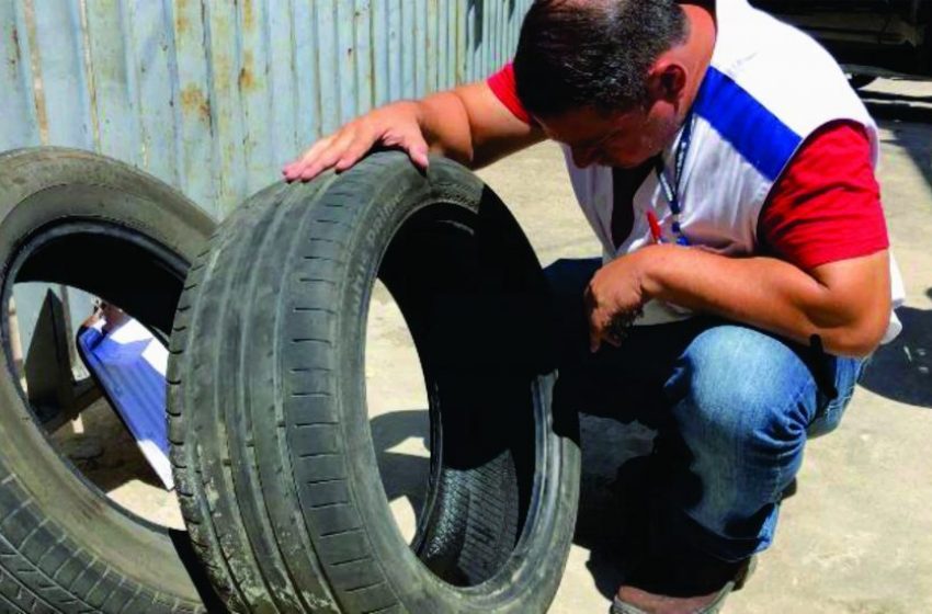 Ação contra Aedes aegypti vai coletar pneus em borracharias de Maceió