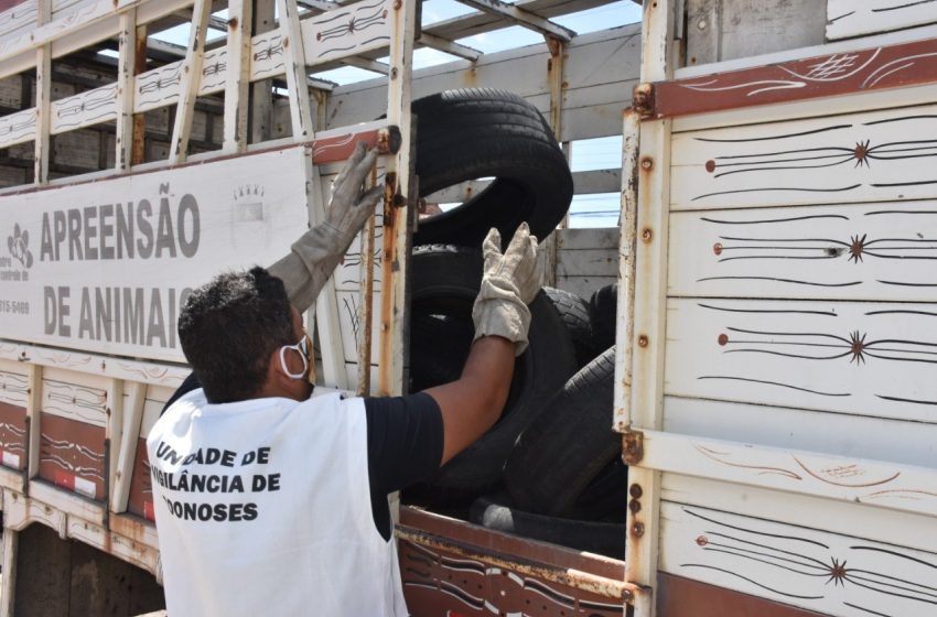 Recolhimento de pneus integra ações de combate ao Aedes aegypti em Maceió