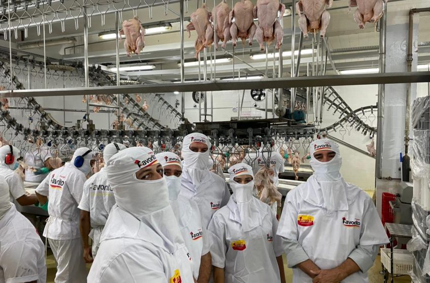 Vigilância Sanitária faz visita técnica a fábrica de frango e acompanha fabricação de alimentos