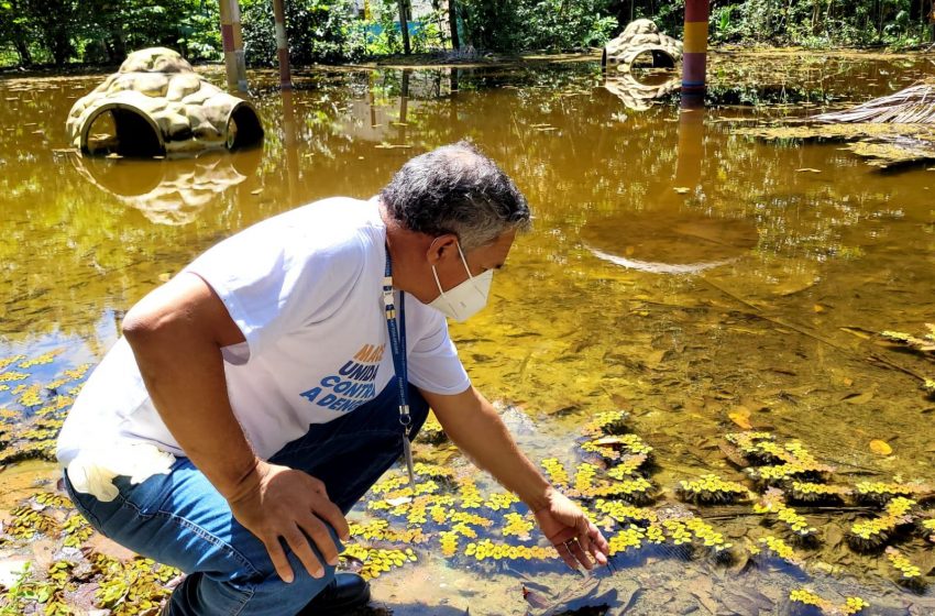 Agentes de endemias monitoram focos de dengue no antigo Ecopark, na Serraria