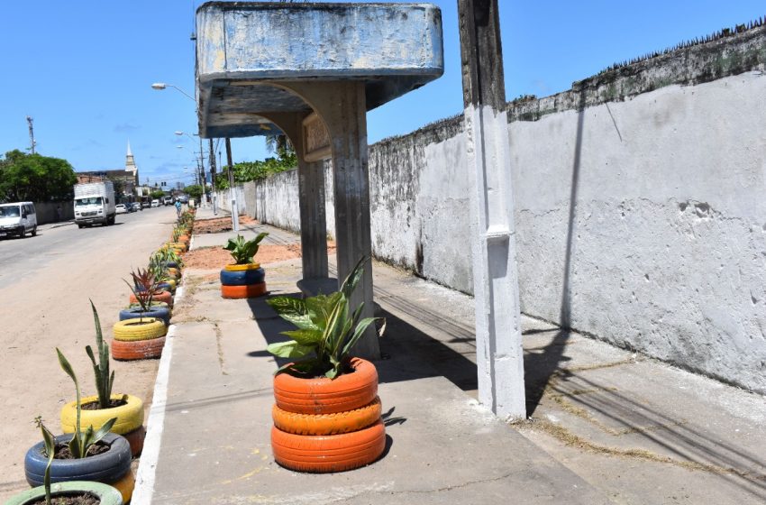 Na Ponta Grossa, Prefeitura retira 85 toneladas de resíduos e planta 120 mudas de árvores